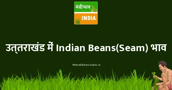 Indian Beans(Seam) भाव